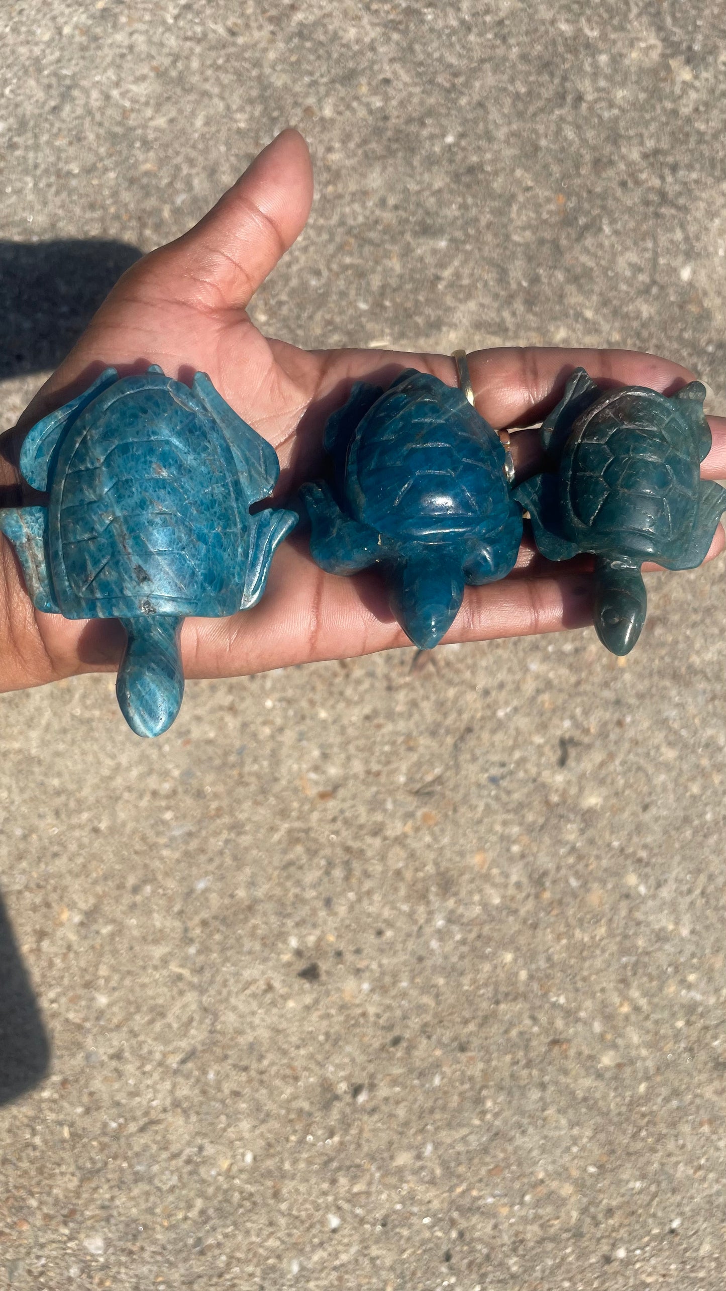 Blue Apatite Turtle