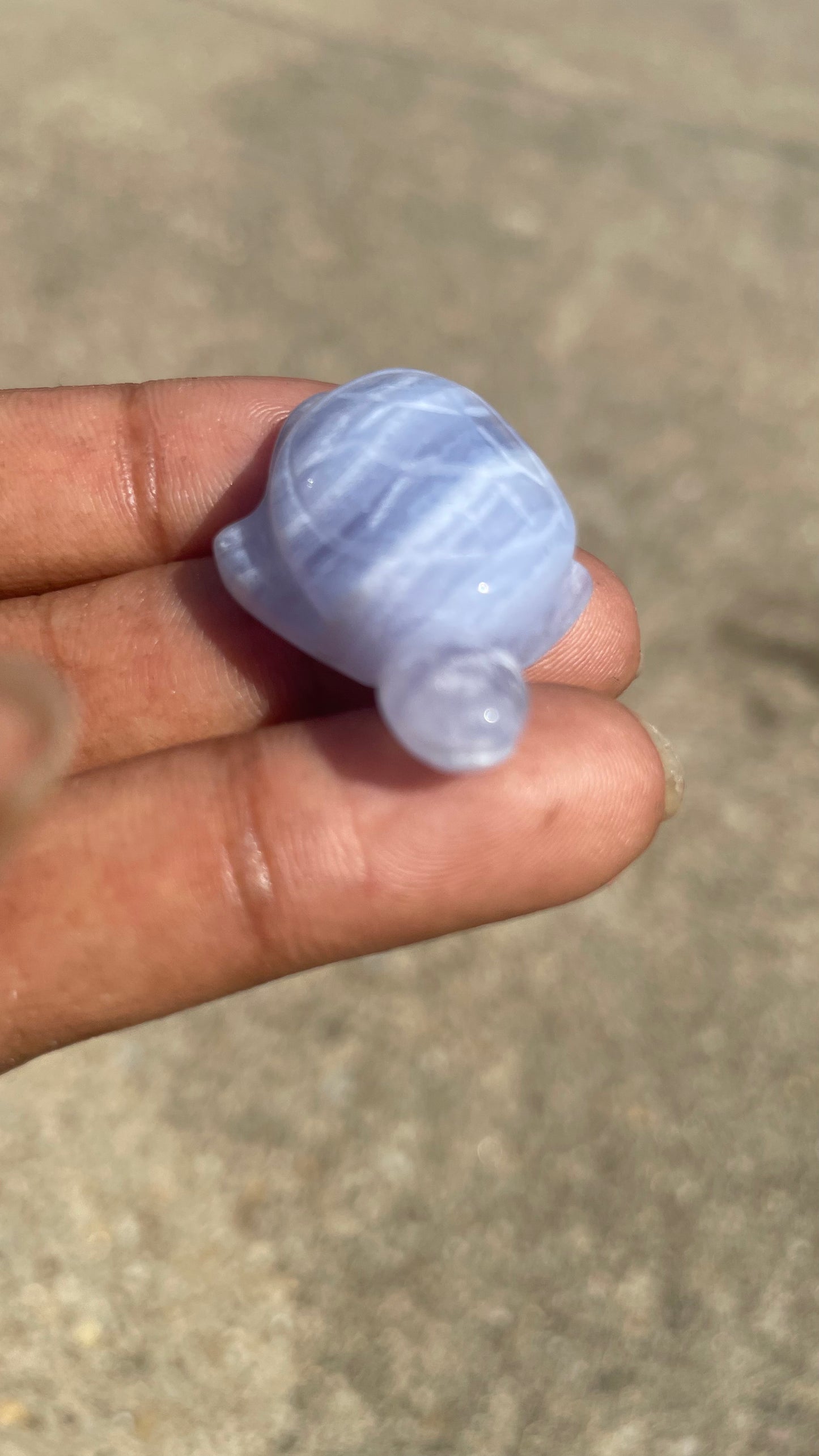 Blue Lace Agate Mini Turtle