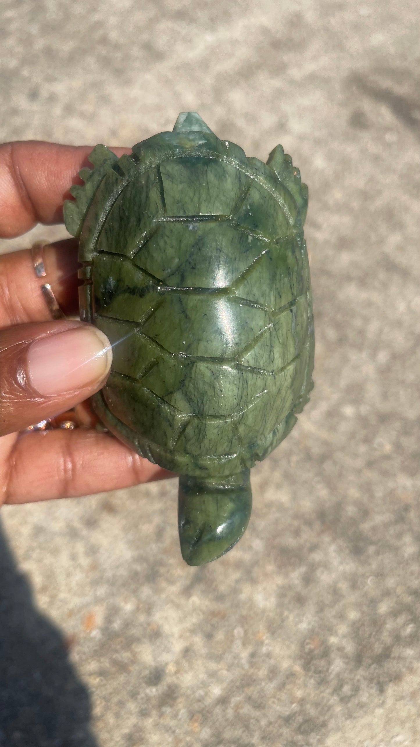 Serpentine Turtle