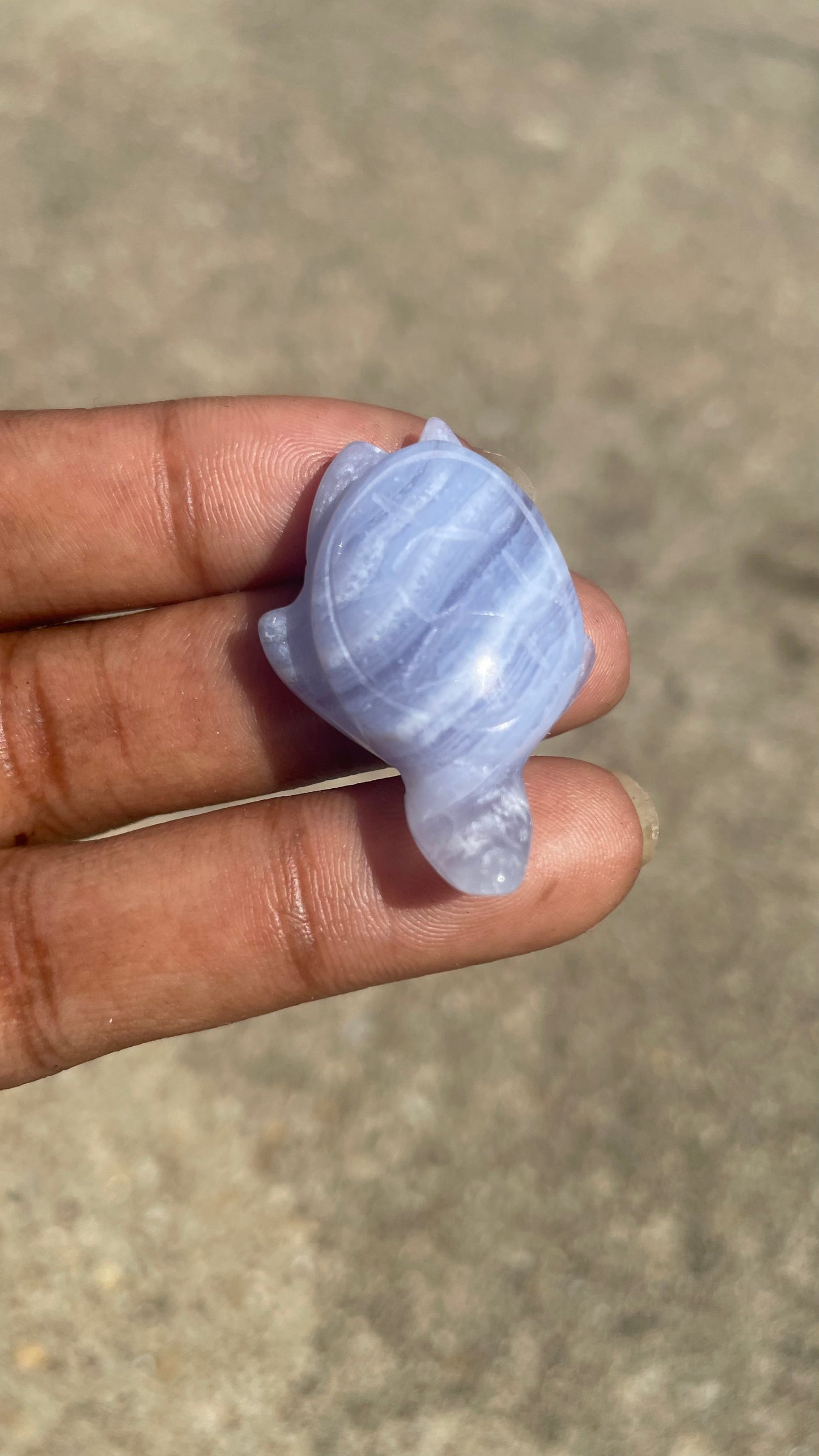 Blue Lace Agate Mini Turtle