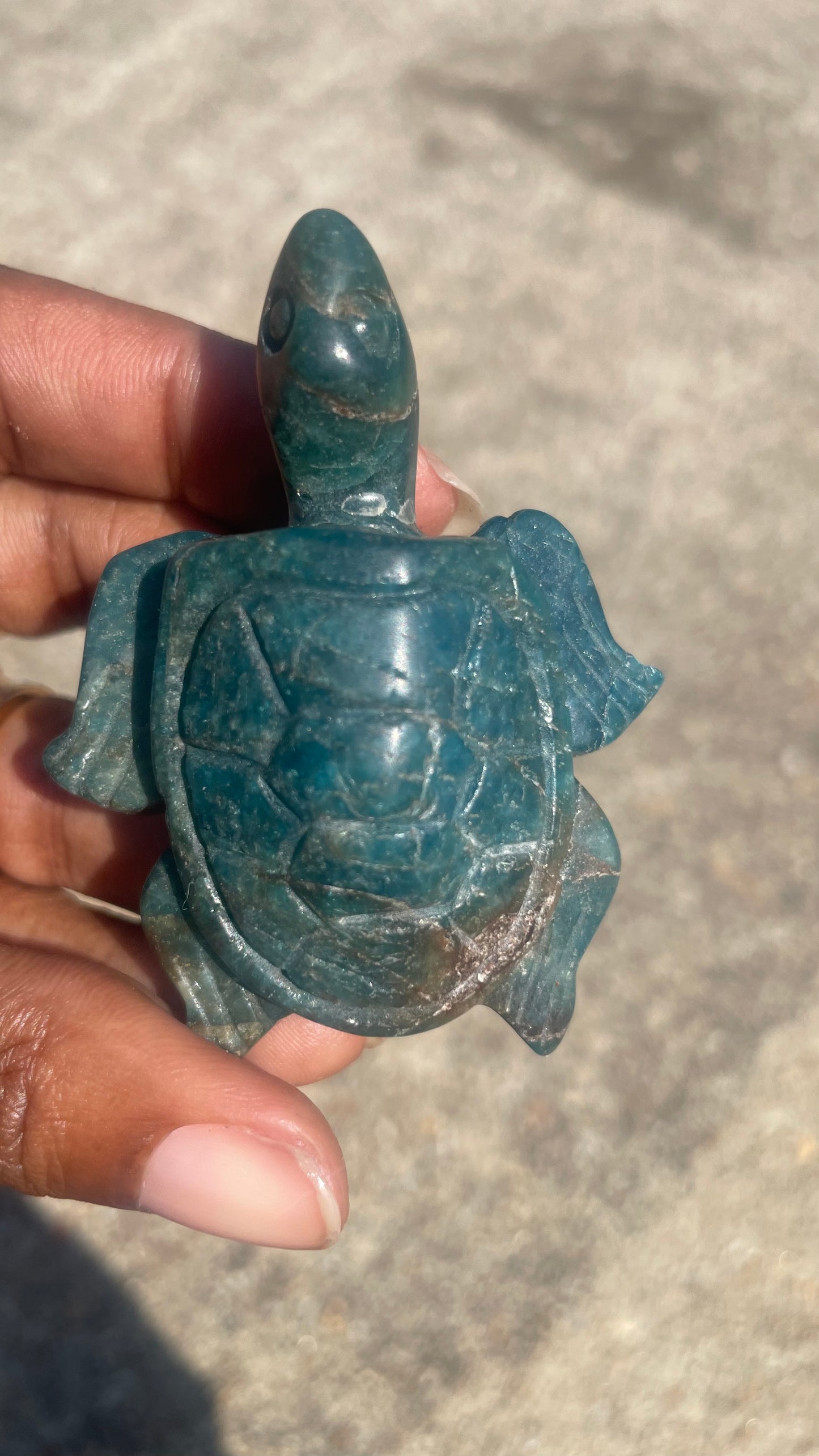 Blue Apatite Turtle