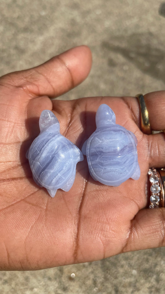 Blue Lace Agate Mini Turtle