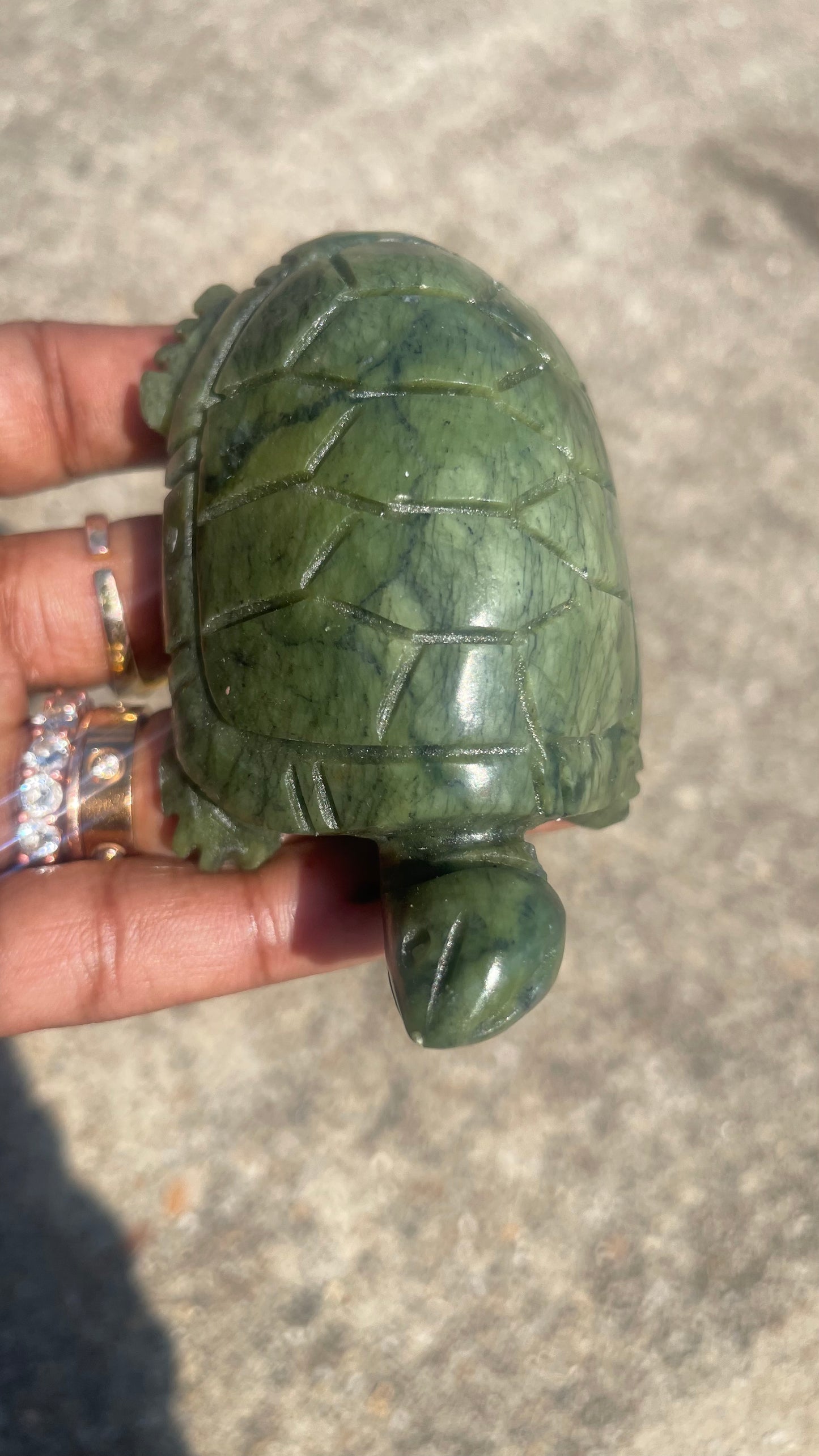 Serpentine Turtle