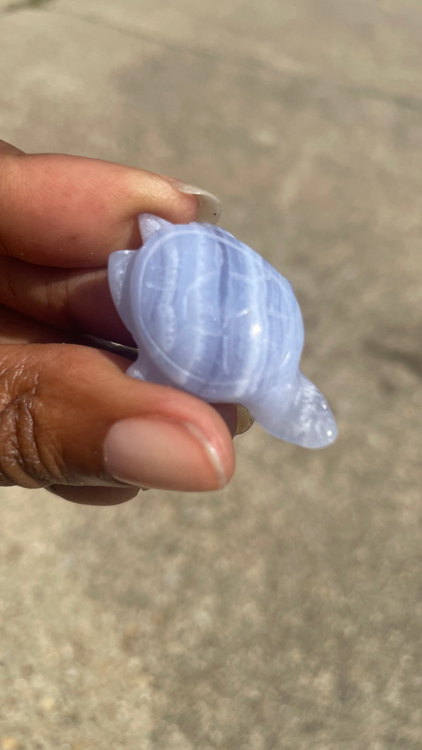 Blue Lace Agate Mini Turtle