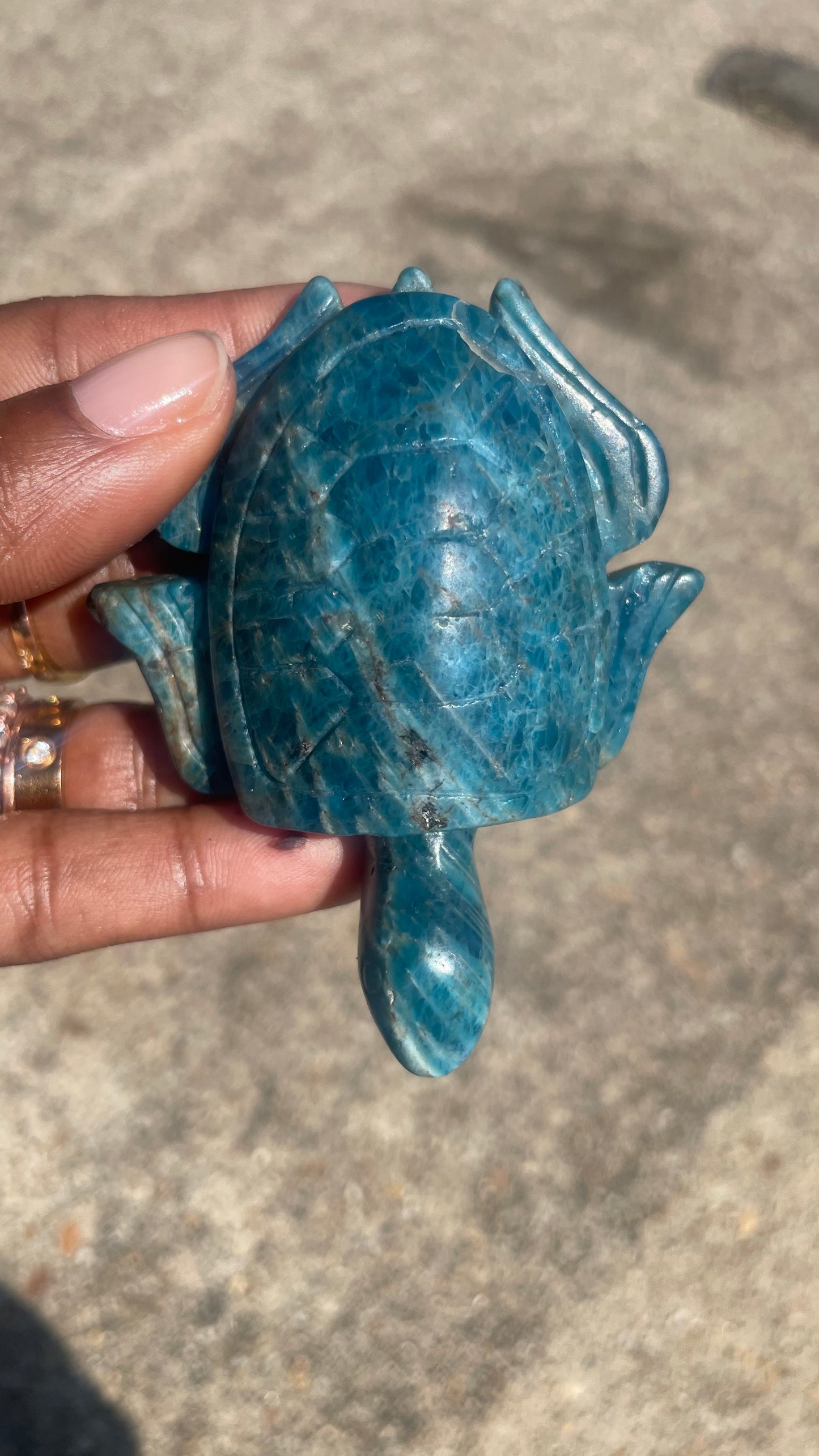 Blue Apatite Turtle