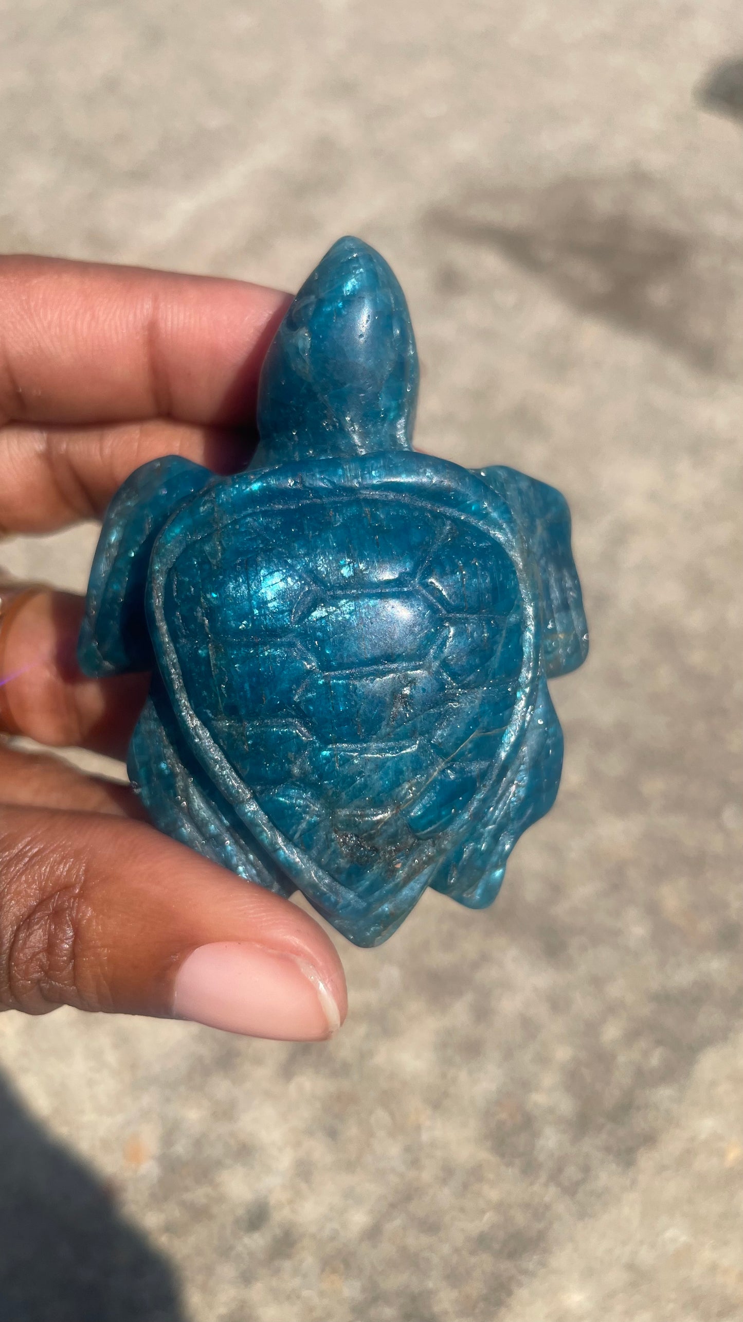 Blue Apatite Turtle