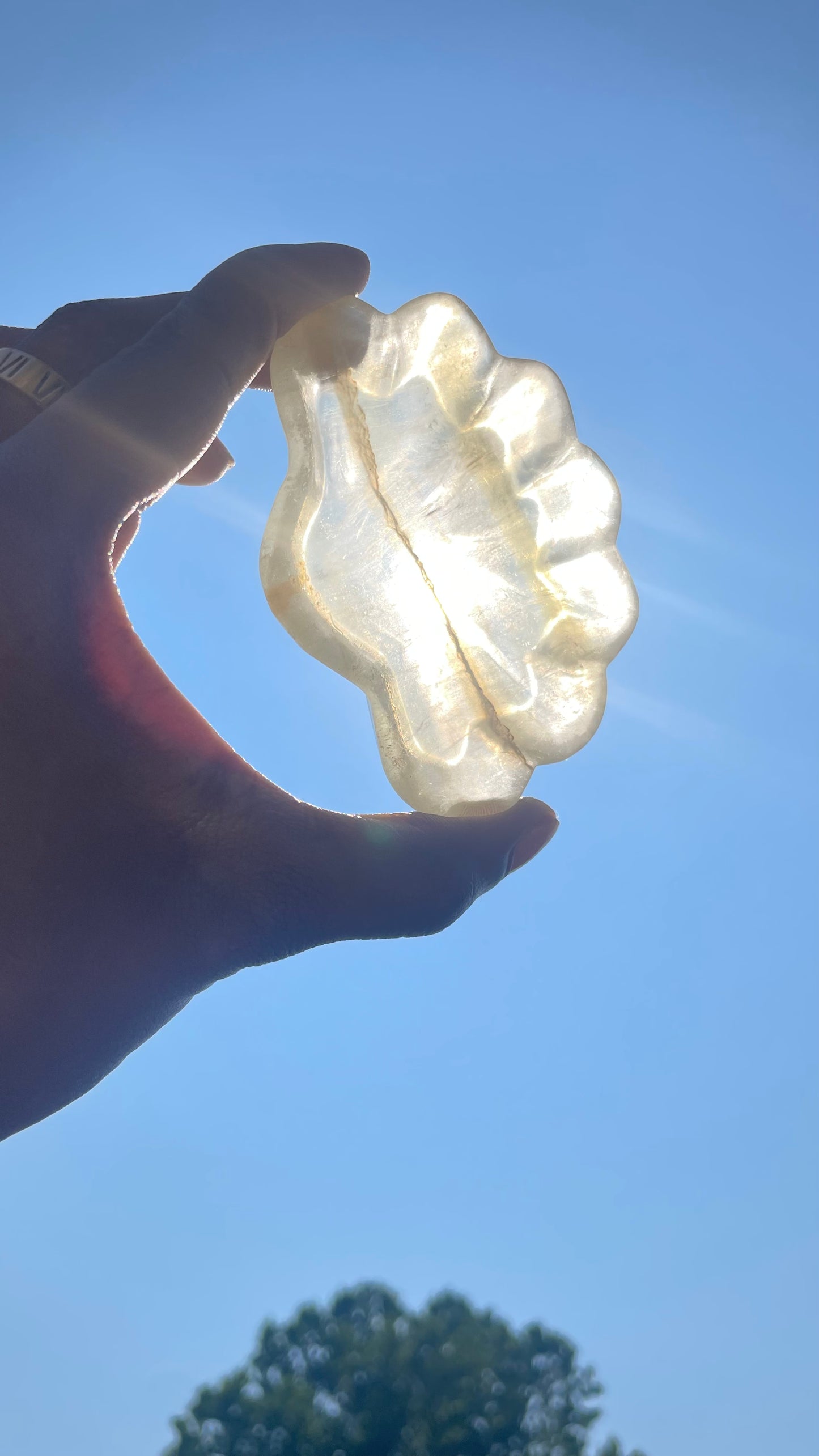 Fluorite Shell Trinket Dish