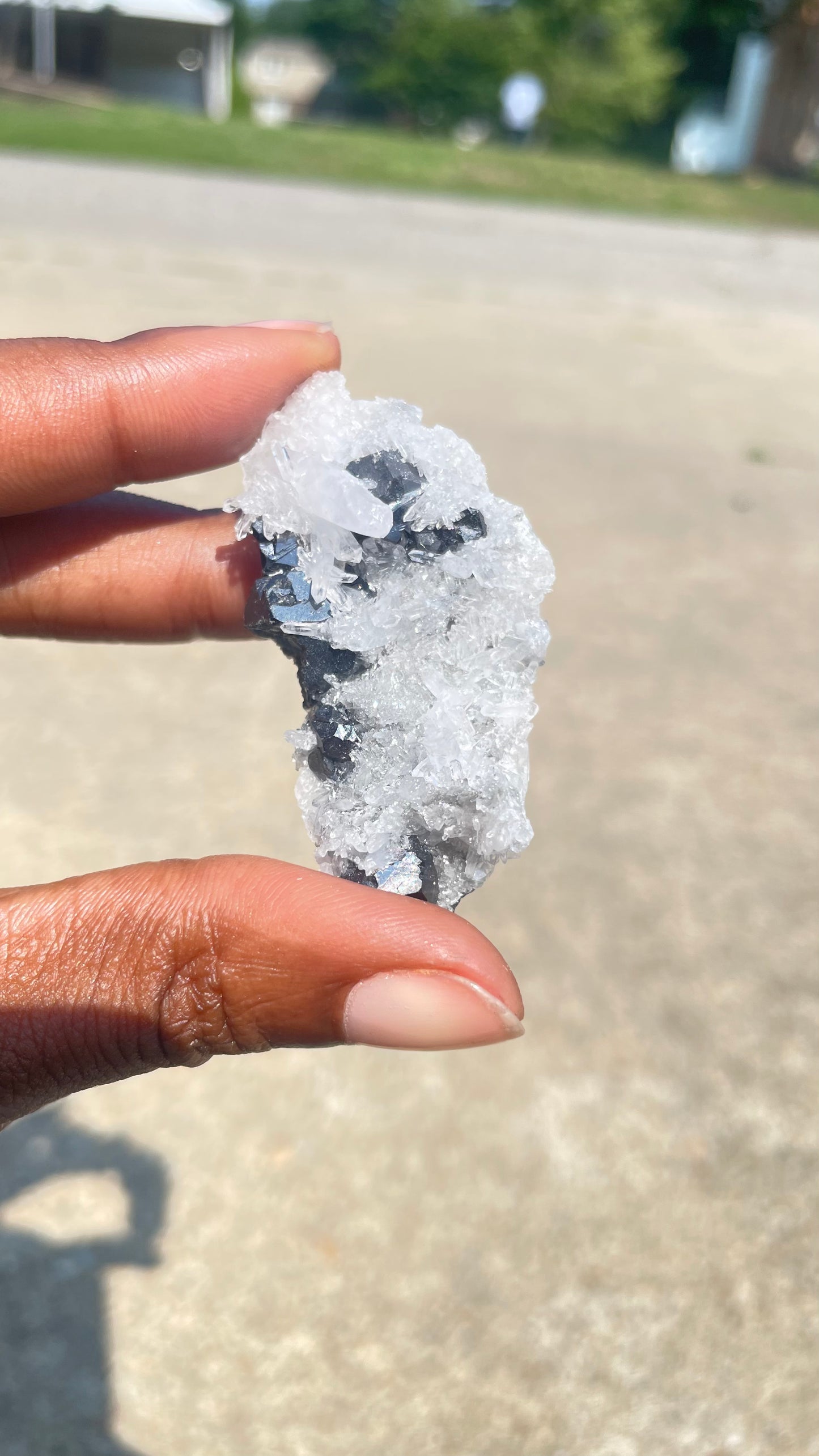 Chrysanthemum Quartz with Pyrite and Black Tourmaline