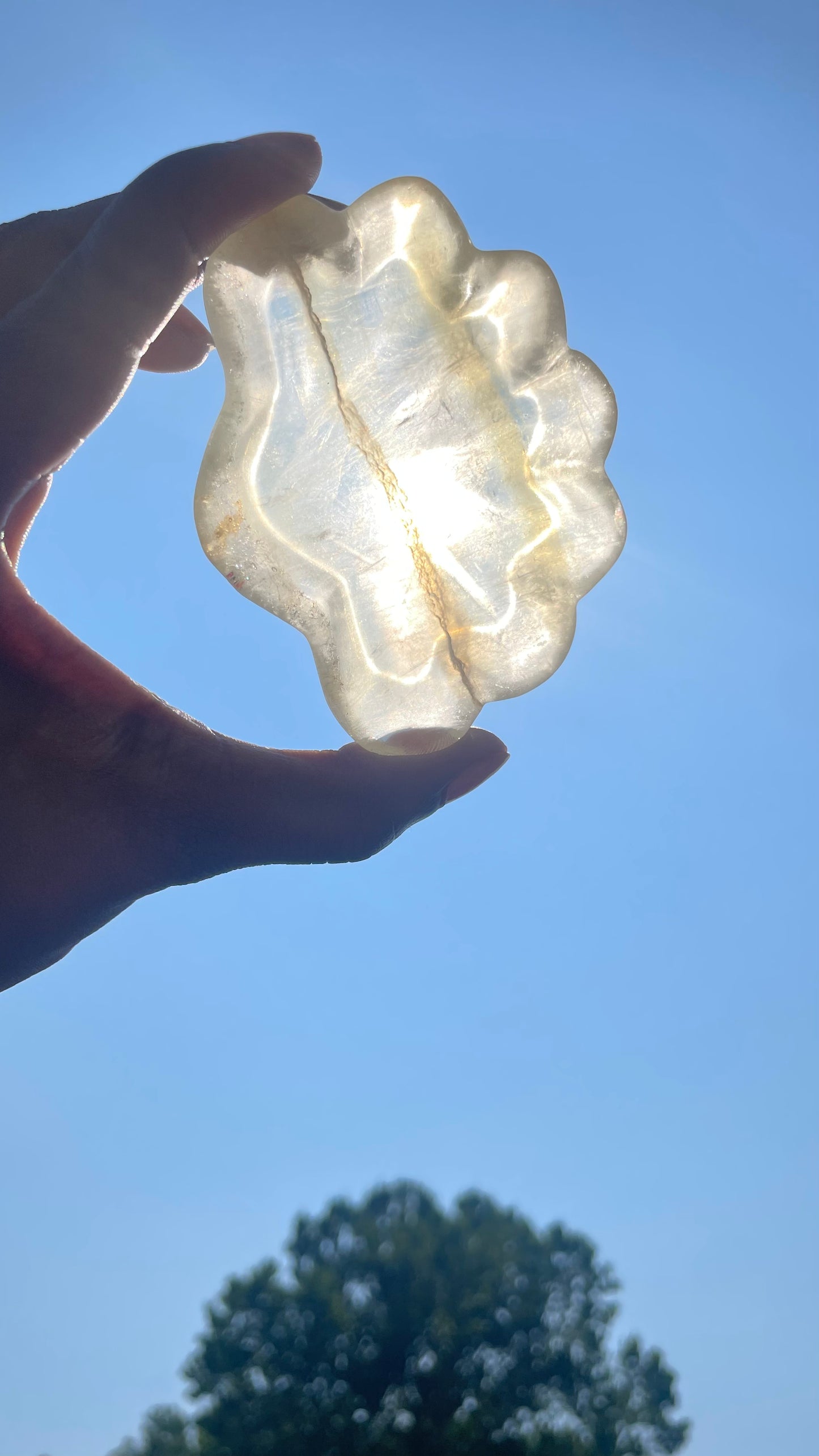 Fluorite Shell Trinket Dish