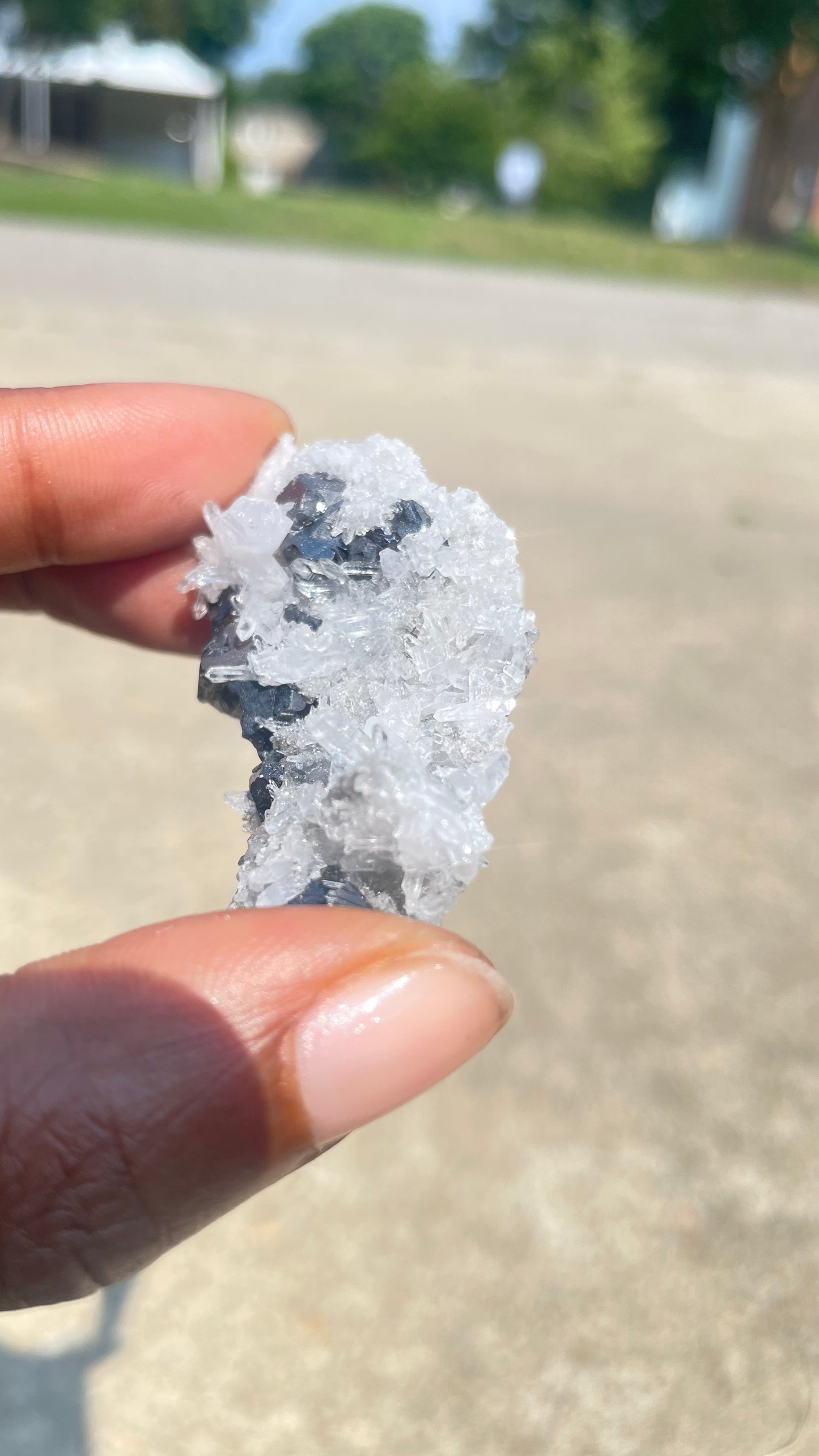 Chrysanthemum Quartz with Pyrite and Black Tourmaline