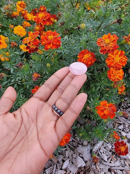 Rose Quartz Mini Palm Stone