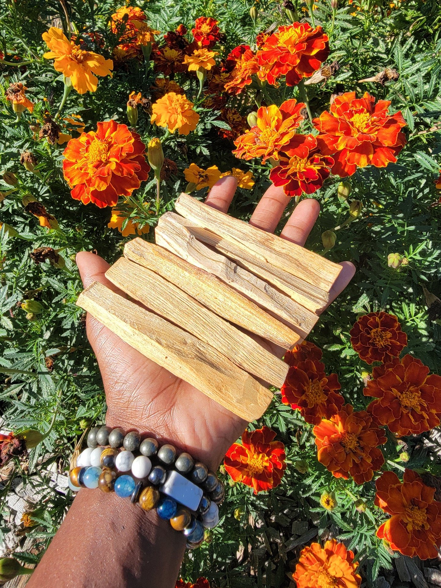 Palo Santo Sticks (2)