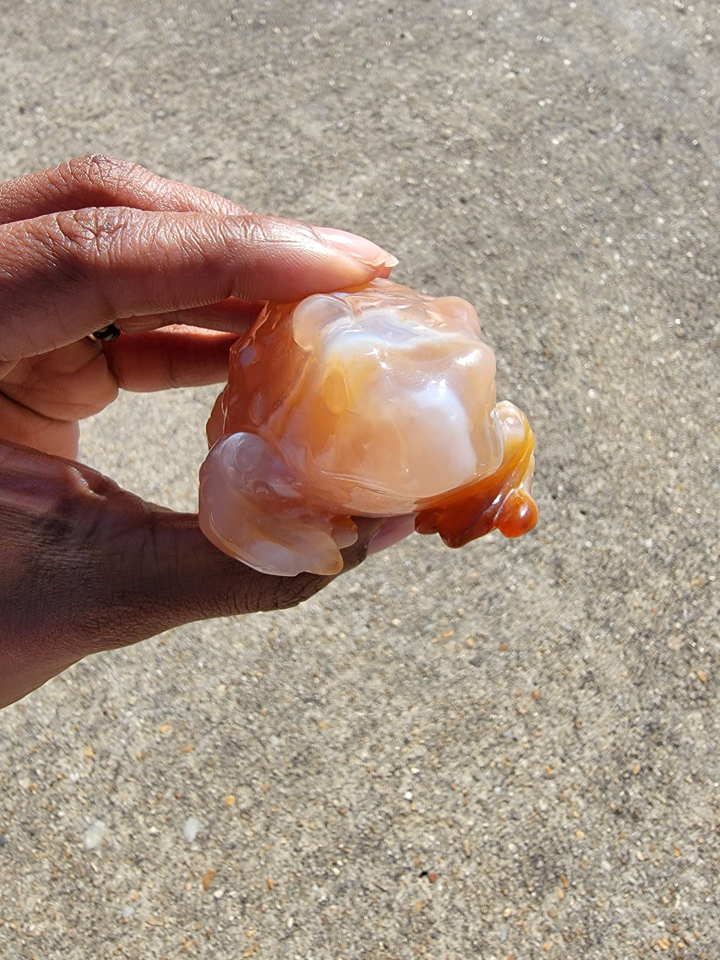 Flower Agate Toad