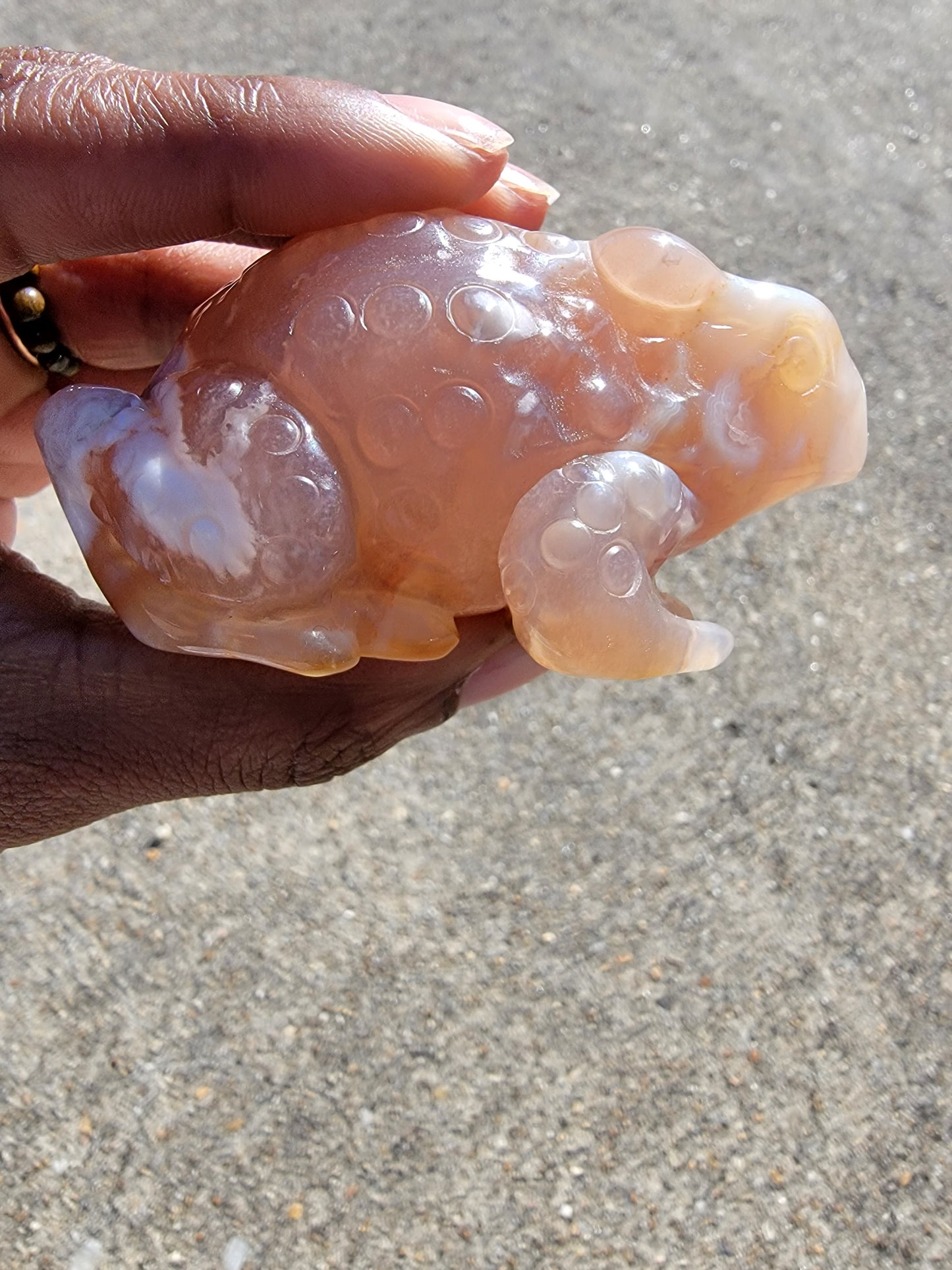 Flower Agate Toad