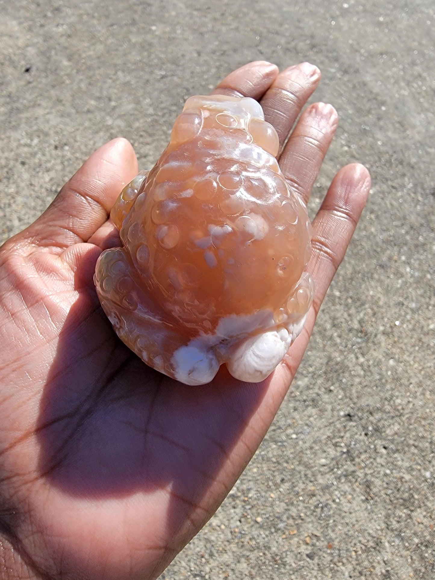 Flower Agate Toad