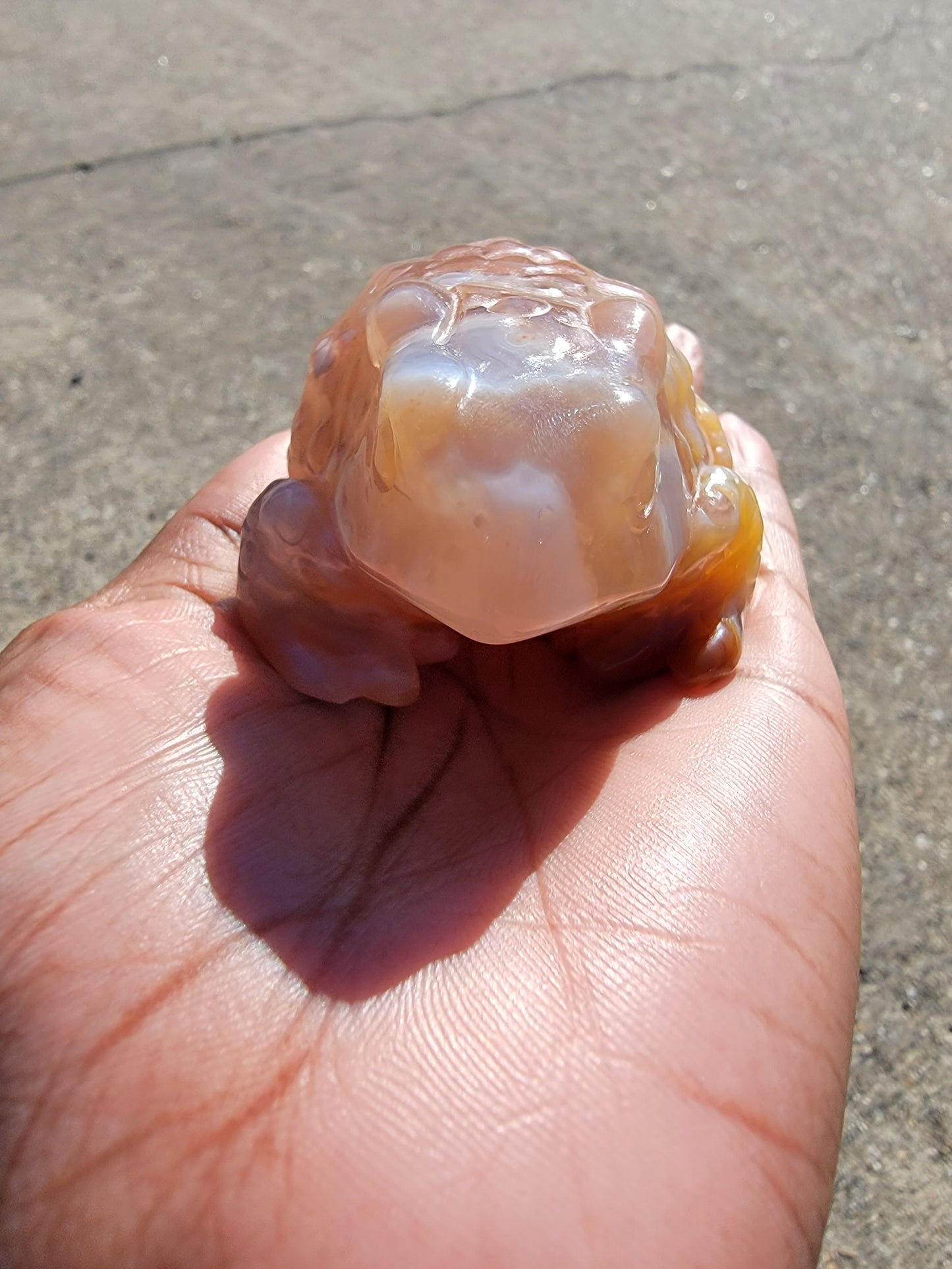 Flower Agate Toad