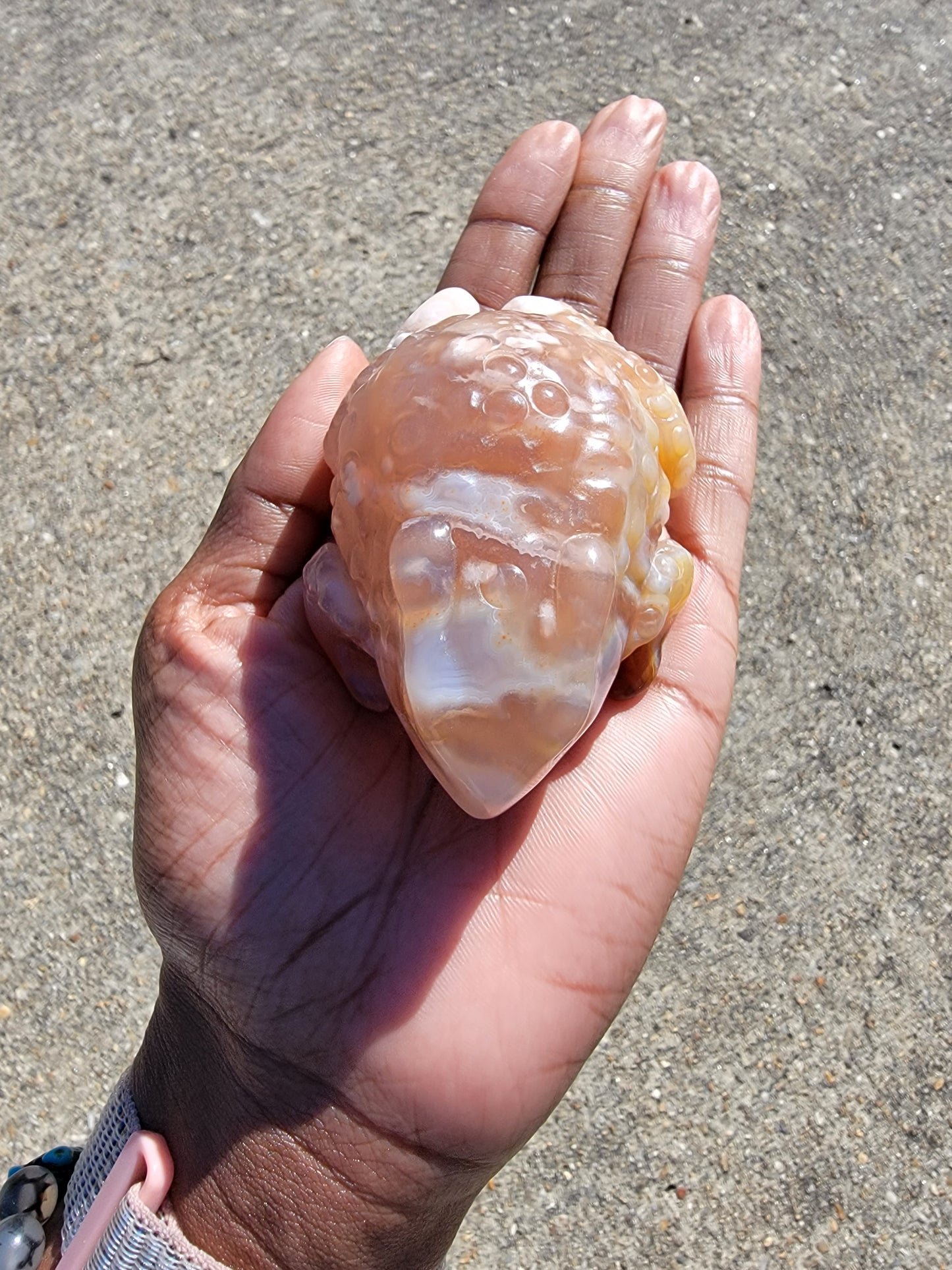 Flower Agate Toad