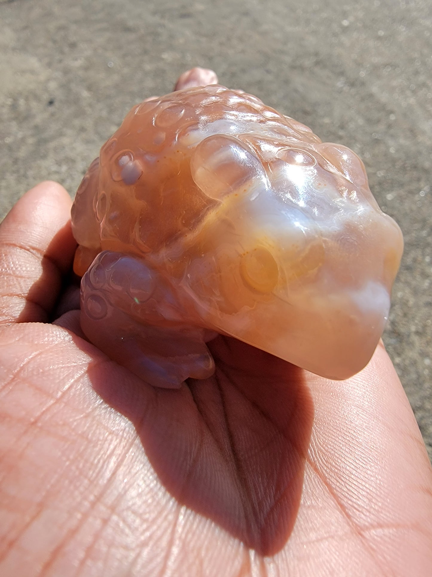 Flower Agate Toad