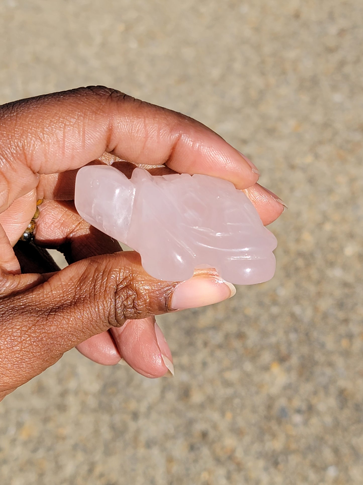 Rose Quartz Turtle