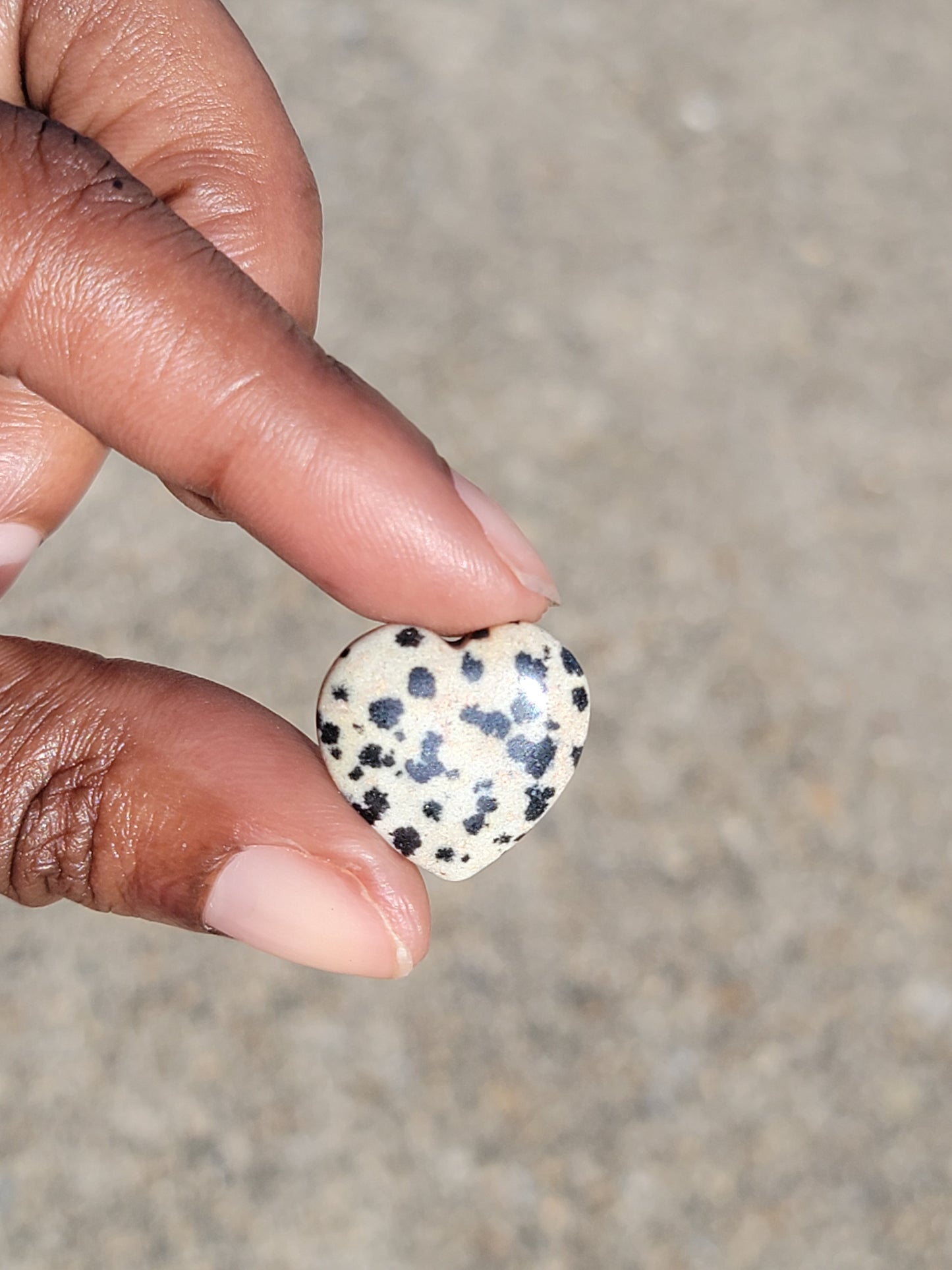 Dalmatian Jasper Heart