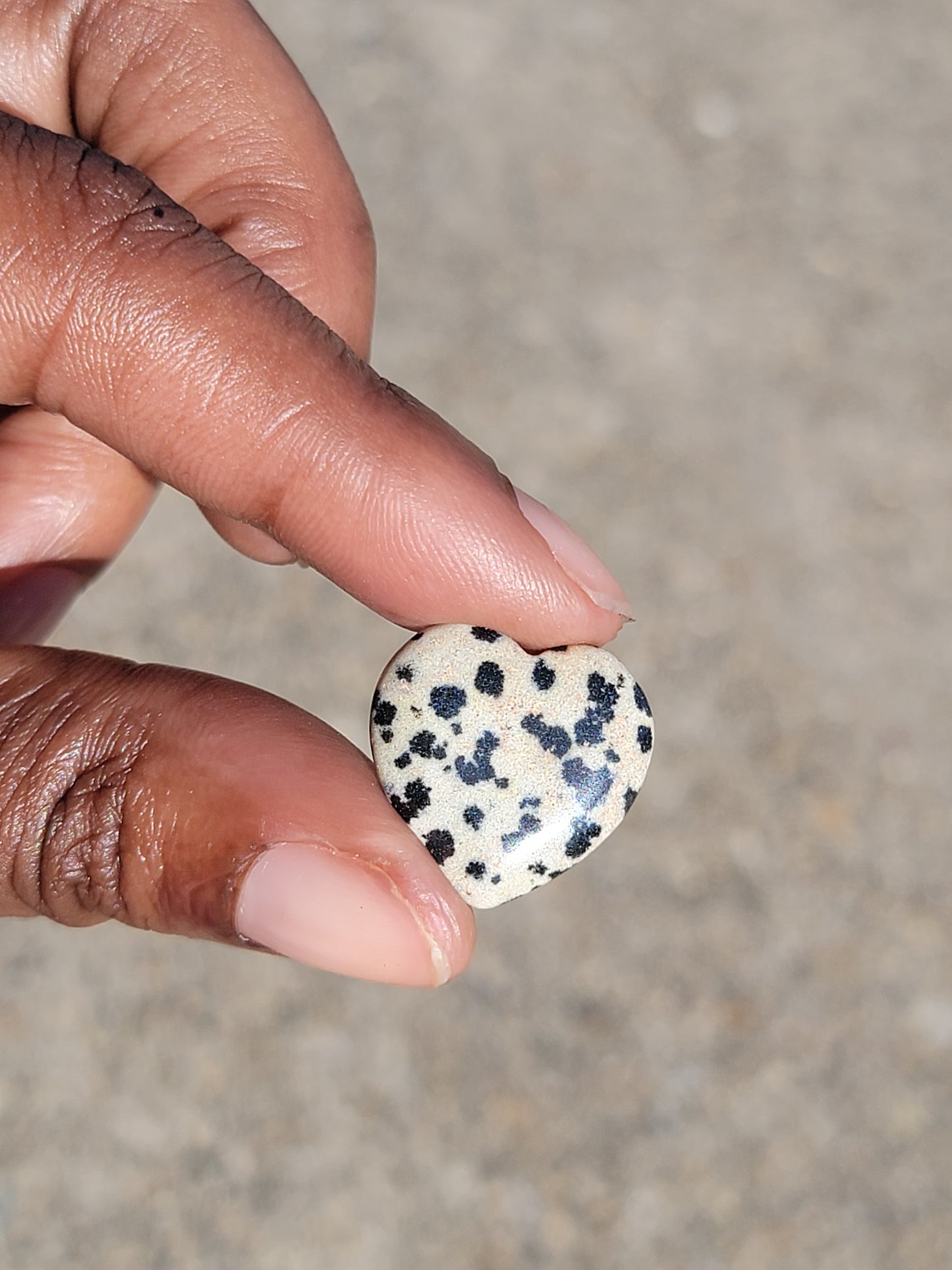 Dalmatian Jasper Heart