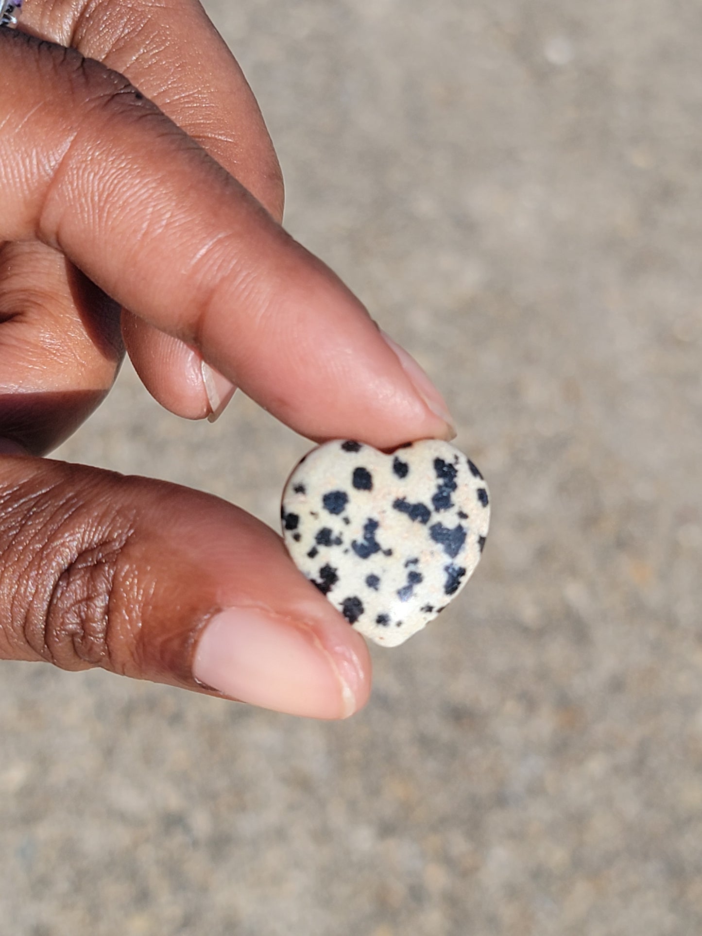 Dalmatian Jasper Heart