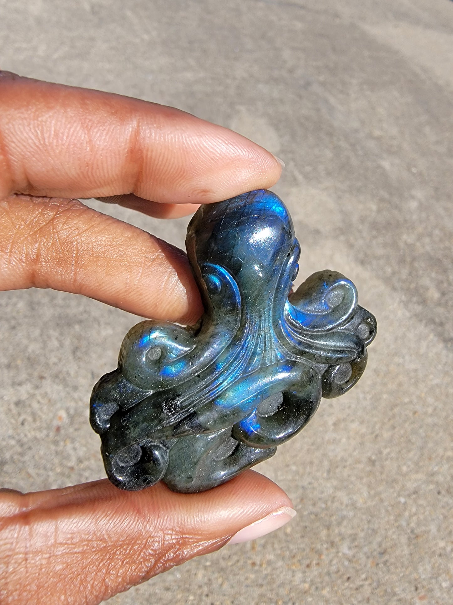 Labradorite Octopus Carving