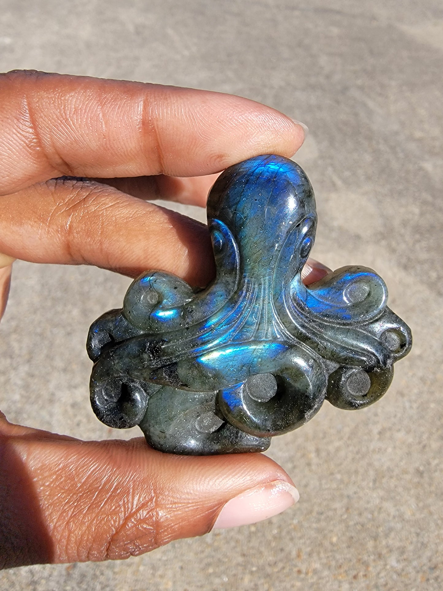 Labradorite Octopus Carving