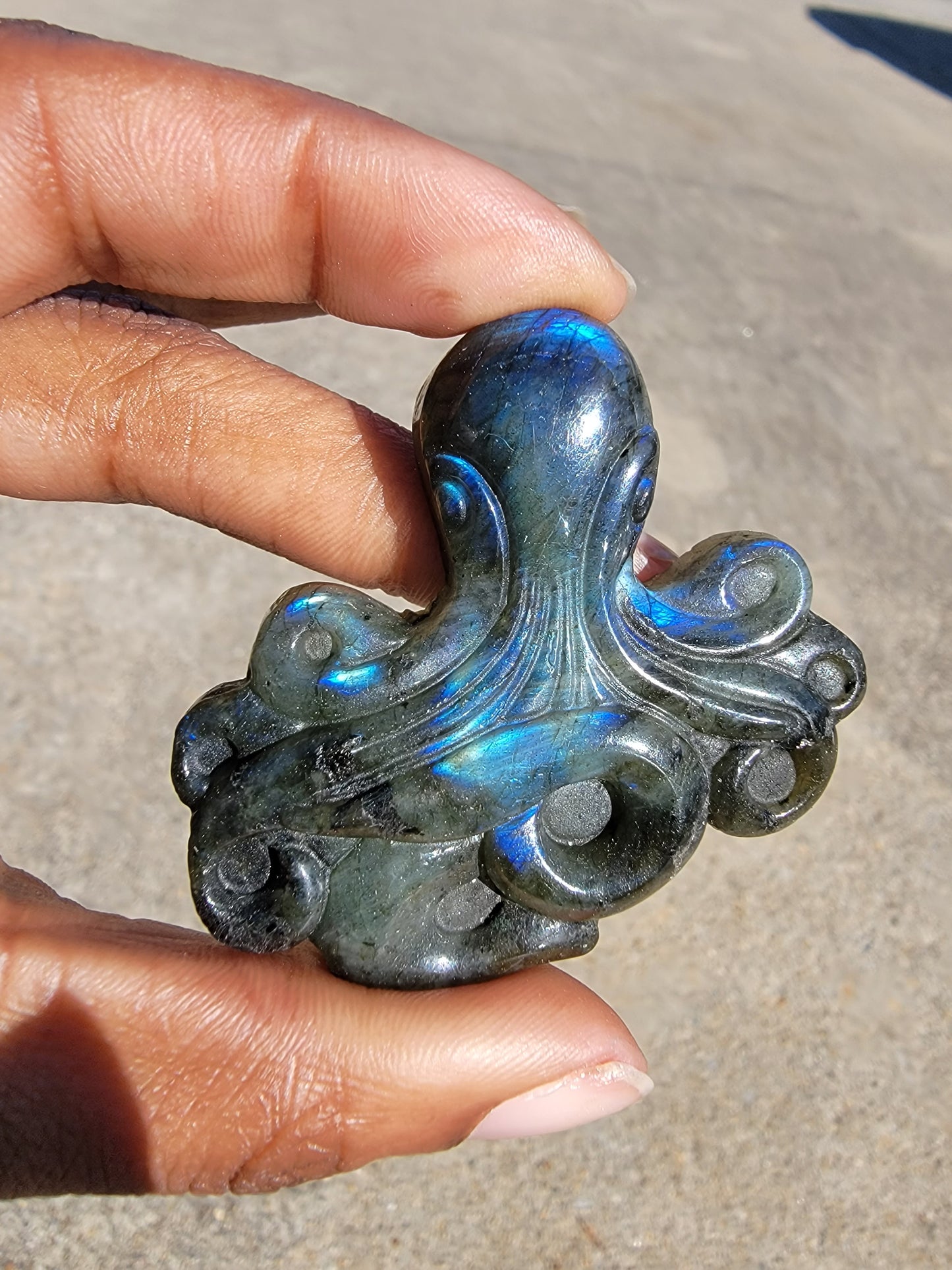 Labradorite Octopus Carving