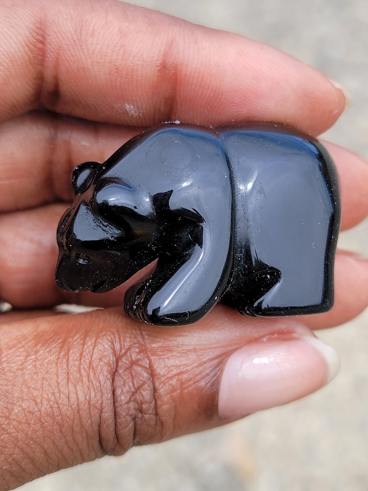 Obsidian Bear