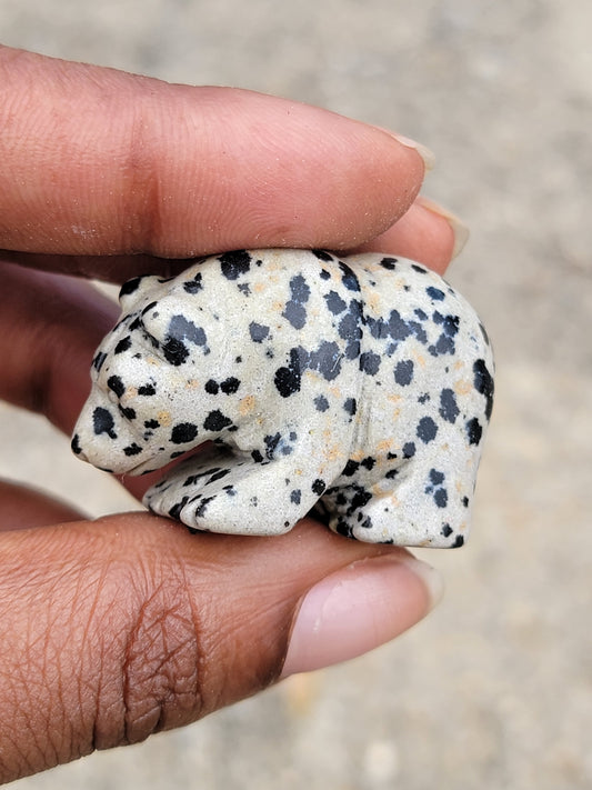 Dalmatian Jasper Bear