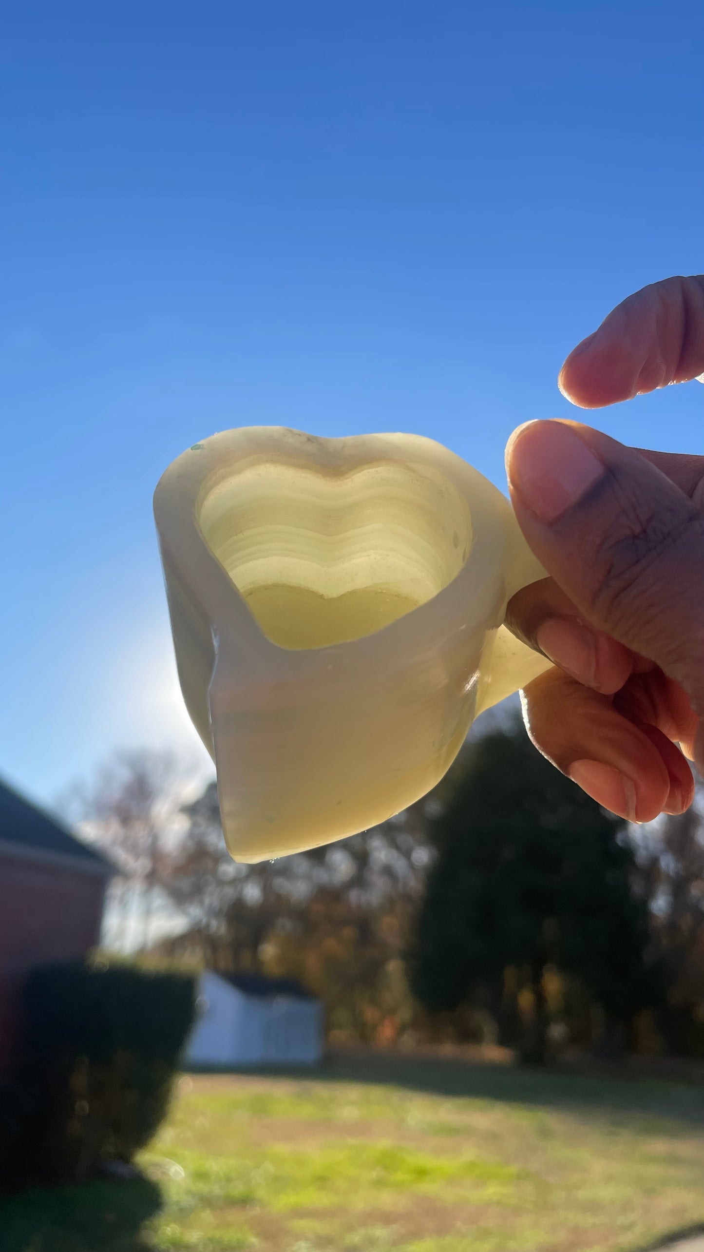 Heart Cups