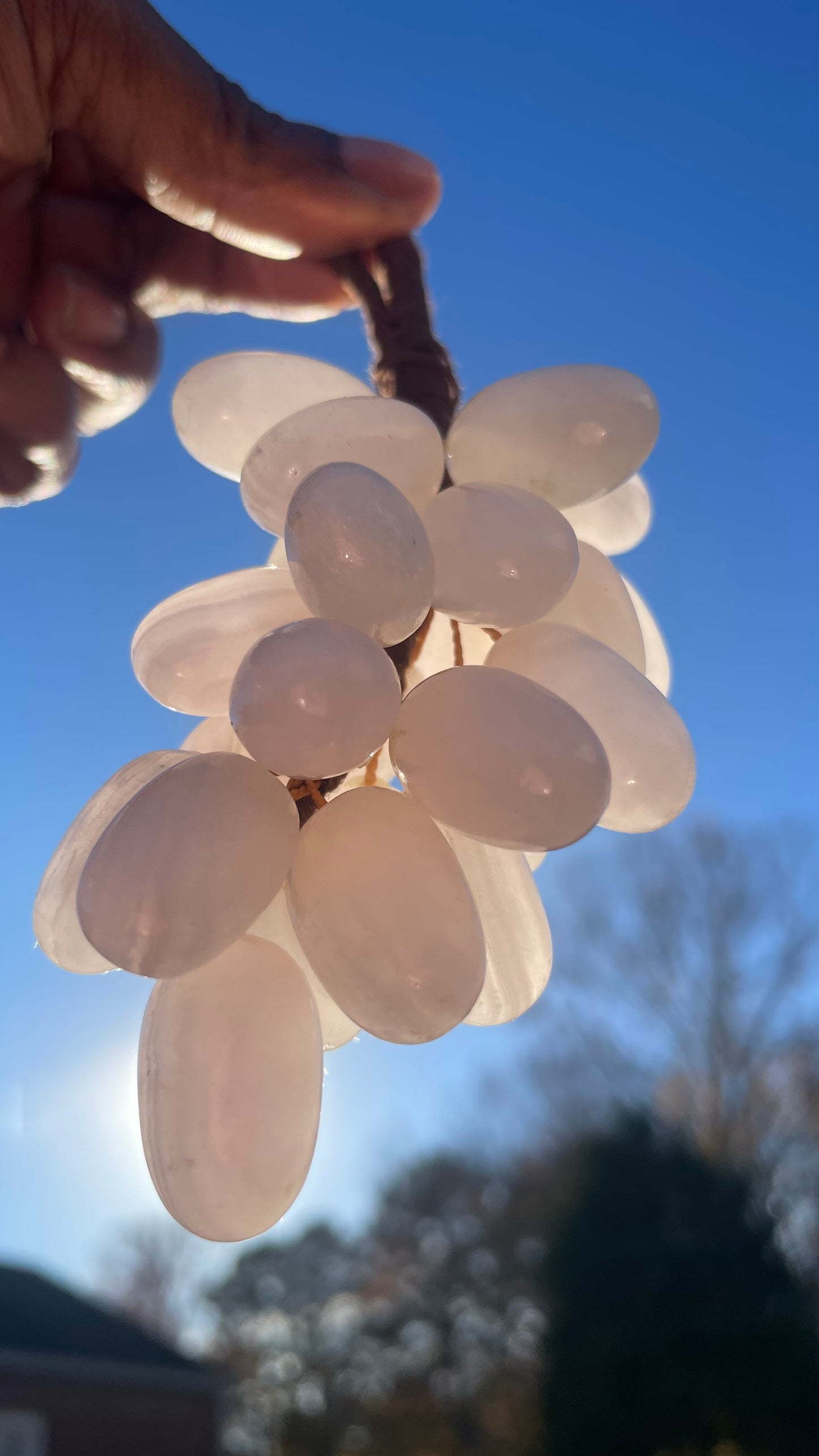 Crystal Grapes