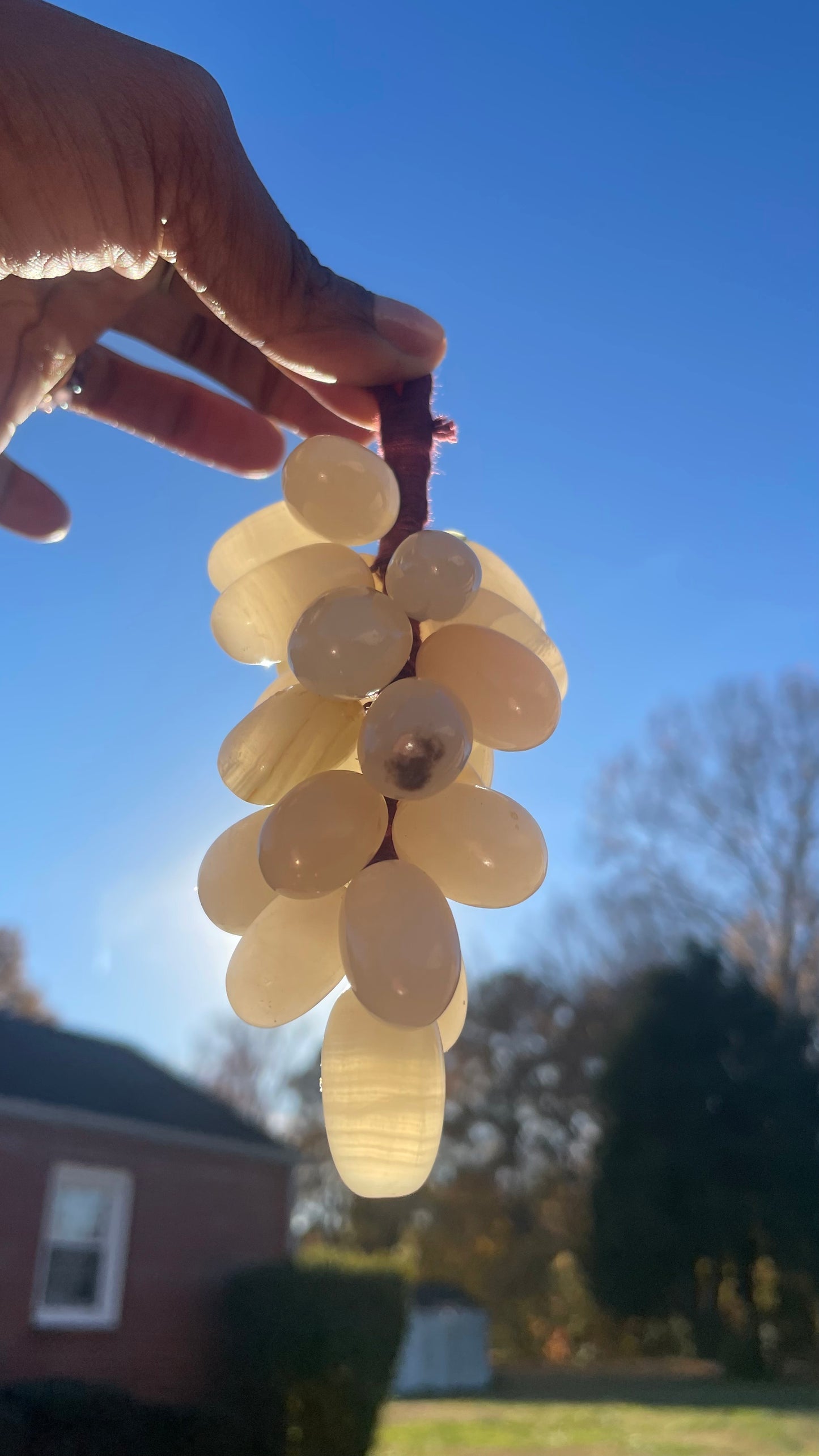 Crystal Grapes